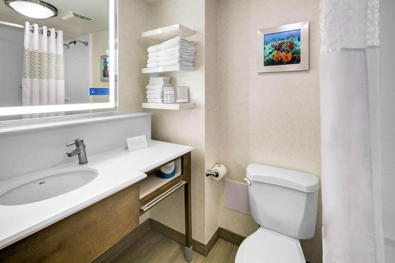 Bathroom 4, Hampton Inn Ft. Lauderdale-West/Pembroke Pines, Broward