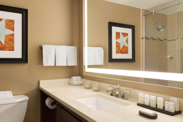Bathroom 5, Embassy Suites by Hilton Austin Downtown South Con, Travis
