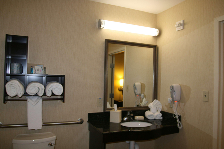 Bathroom 5, Hampton Inn Alpine, Brewster