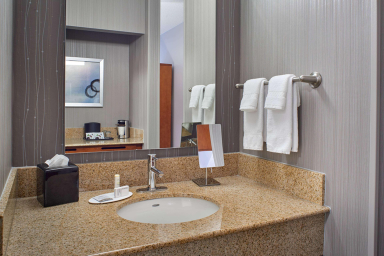 Bathroom 4, Comfort Inn & Suites Eden Prairie, Hennepin