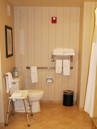 Bathroom 4, Hampton Inn & Suites Paducah , McCracken