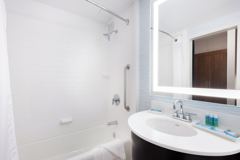 Bathroom 4, Holiday Inn Express BOSTON-WALTHAM, Middlesex