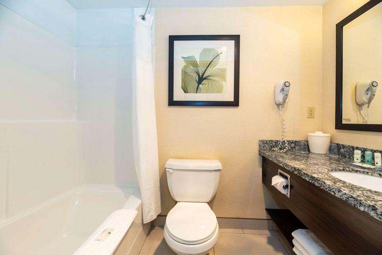 Bathroom 5, Quality Inn Quesnel, Cariboo