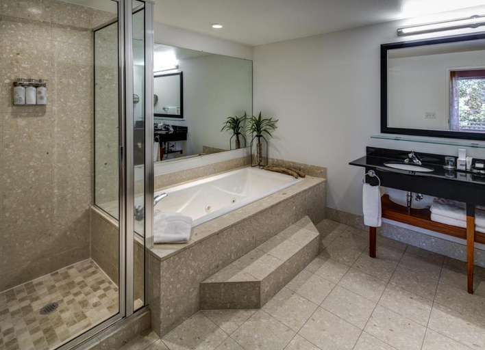 Bathroom 4, River's Edge Hotel Portland, Tapestry Collection by Hilton, Multnomah