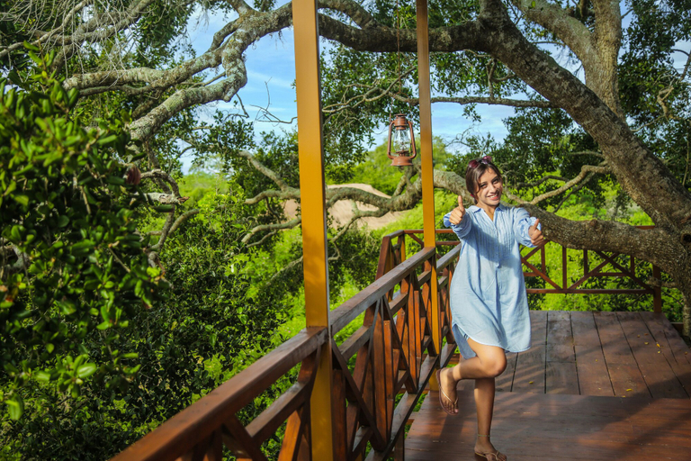 Room 5, Leopard Nest in Yala, Thissamaharama