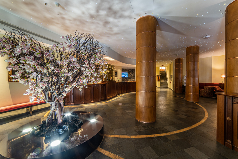 Public Area 4, Lux Garden Hotel, Azuga