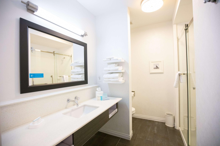Bathroom 5, Hampton Inn Toledo/Oregon, Lucas