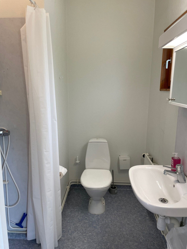 Bathroom 3, Näsbygården, Sandviken