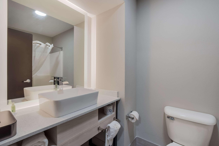 Bathroom 4, Quality Inn & Suites Aiken South, Aiken