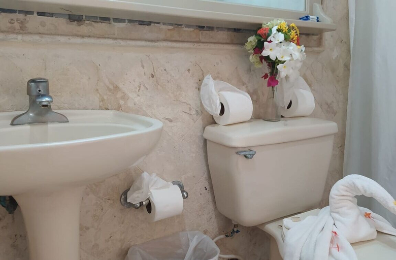 Bathroom 4, Terra Linda Resort, Sosua