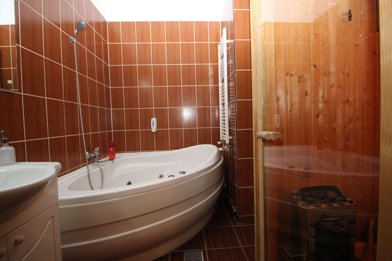 Bathroom 3, Pension Noemi, Brasov
