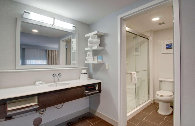 Bathroom 4, Hampton Inn & Suites Springfield Downtown, Hampden
