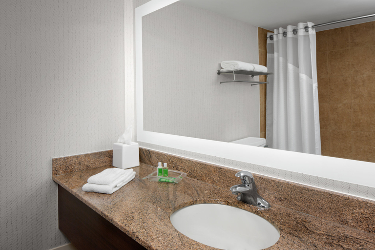Bathroom 5, Holiday Inn HASBROUCK HEIGHTS-MEADOWLANDS by IHG, Bergen