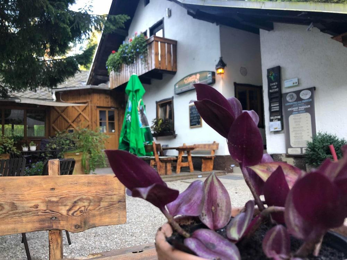 Others 4, Gostisce Draga, Radovljica