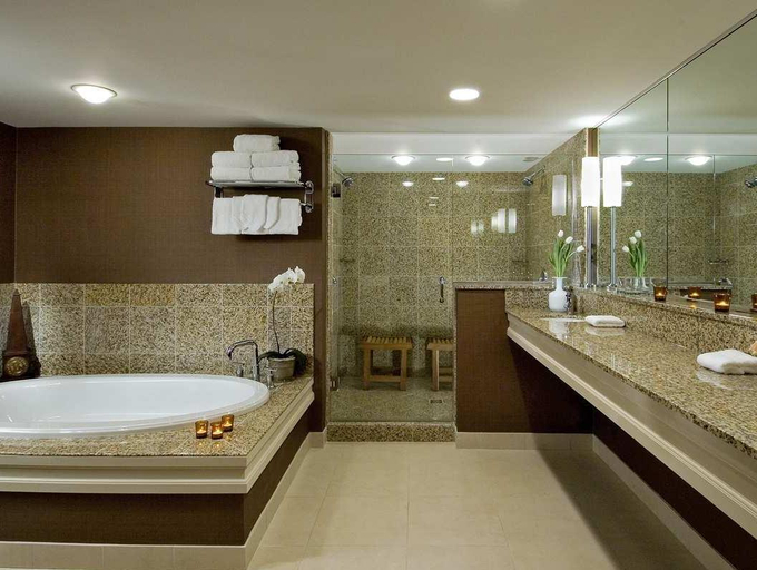 Bathroom 4, Doubletree Hilton Hotel Chicago Arlington Heights, Cook