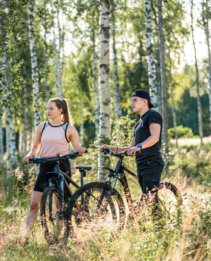 Others 5, The Elegant Haistila, Lapland