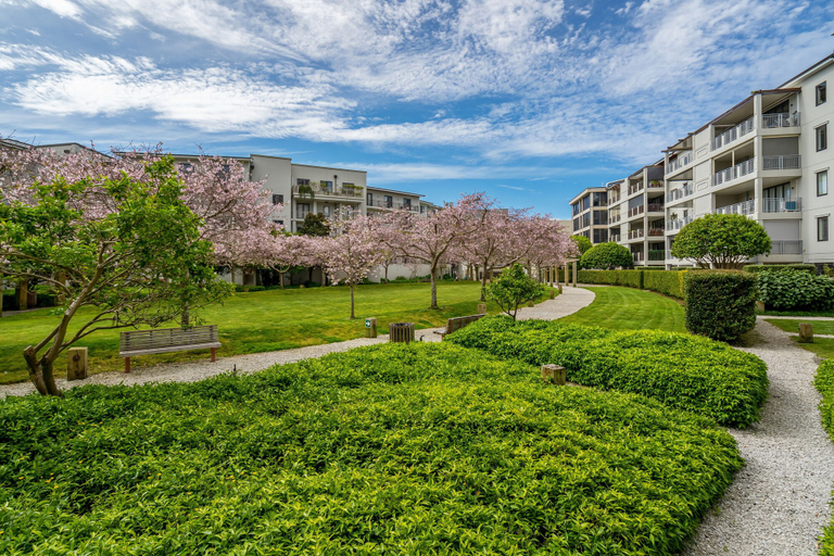 Exterior & Views 2, Spacious viaduct sancturary, Waitakere
