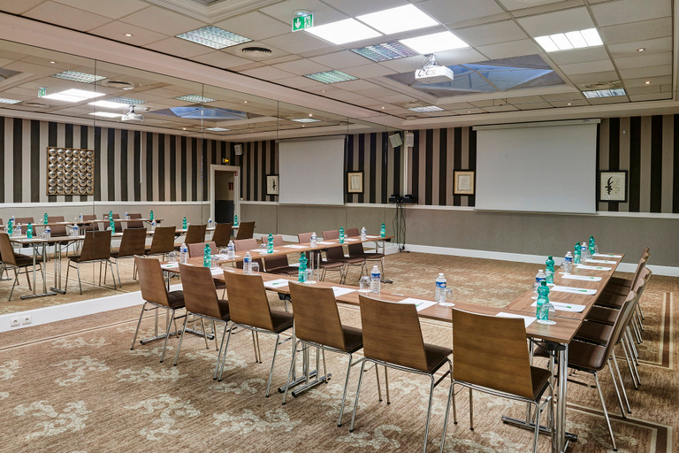 Business Facilities 4, Holiday Inn NICE by IHG, Alpes-Maritimes