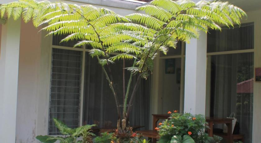 The Forest Villa, Bogor