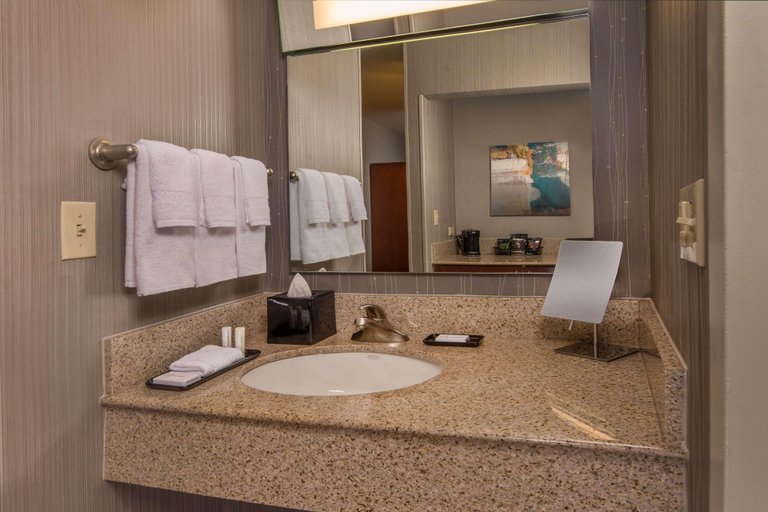 Bathroom 4, Sonesta Select Arlington Rosslyn, Arlington