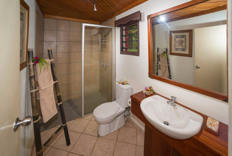 Bathroom 4, Waidroka Bay Resort, Serua