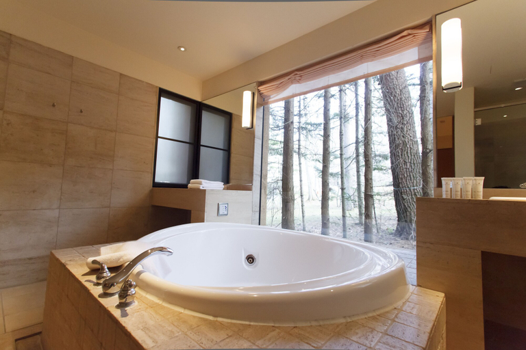 Bathroom 3, Forest Village, Fujikawaguchiko