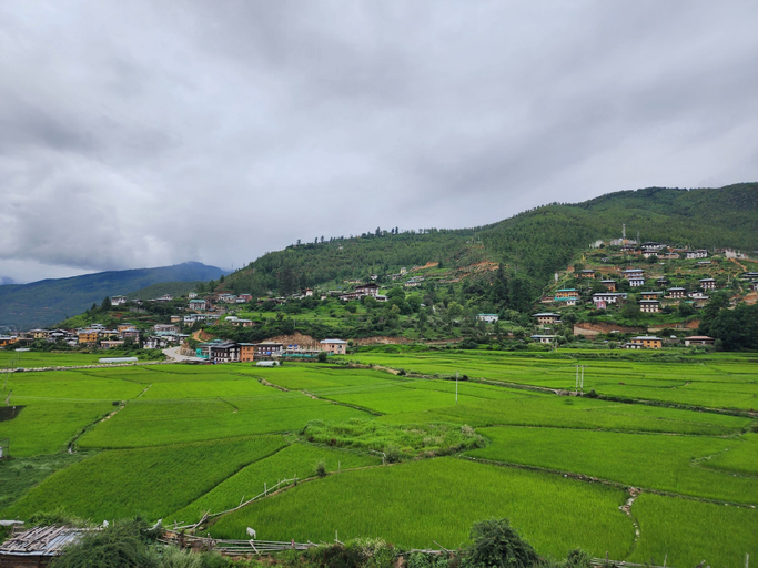 Others 5, Green Valley Boutique, Lamgong