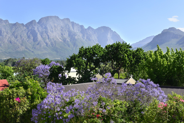 Exterior & Views 2, Franschhoek Boutique Hotel, Cape Winelands