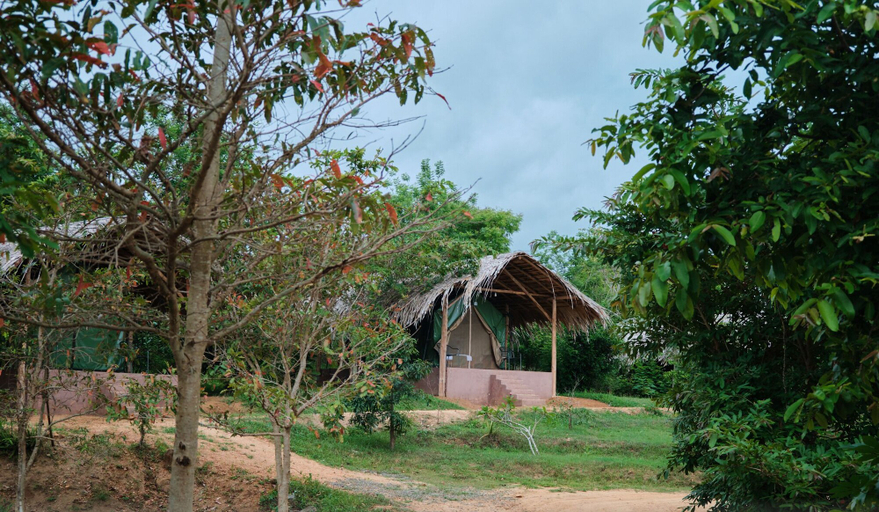 Others 5, Forest Lodge Eco Camp, Sevanagala