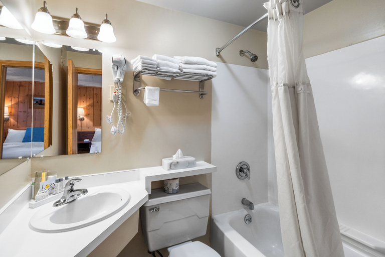 Bathroom 5, The Lazy Duck Inn, Gallatin