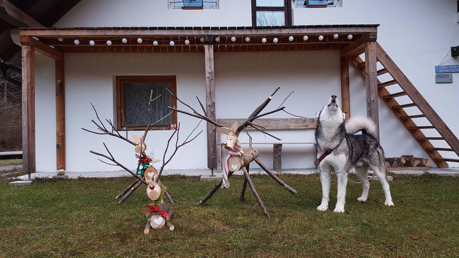 Others 2, Soca Home With The View, Bovec
