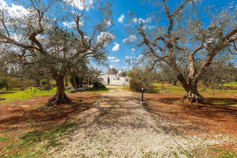 Others 5, 2771 Uliveto Valeria - Trullo Palma by Perle di Puglia, Brindisi