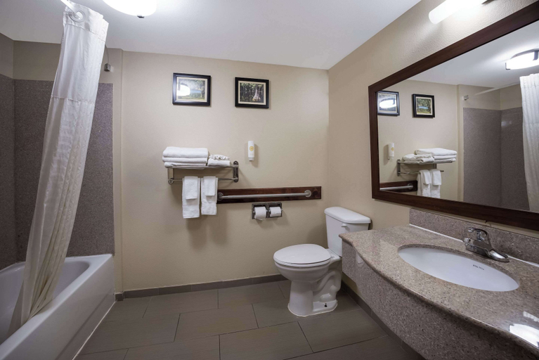 Bathroom 4, Comfort Inn & Suites Midway - Tallahassee West, Gadsden