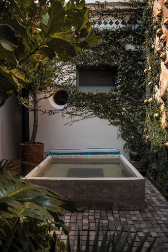 Sport & Beauty 5, Casa Morelos By Barrio Mexico, Guadalajara