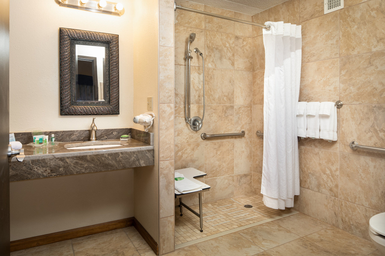 Bathroom 5, Holiday Inn & Suites CHARLESTON WEST by IHG, Kanawha
