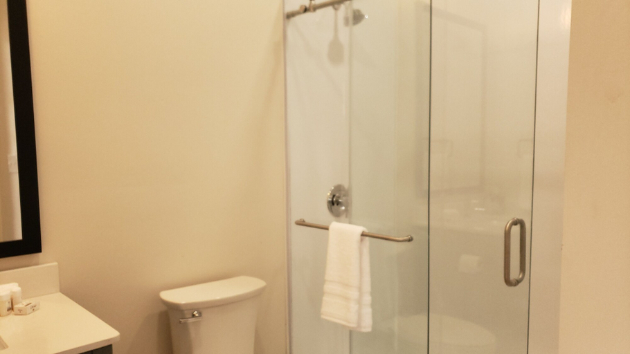 Bathroom 5, Inn at Blackstone, Nottoway