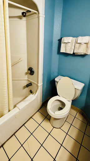 Bathroom 4, Relax Inn, Shelby