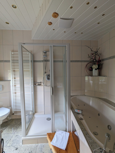 Bathroom 5, Wanderhotel Steinerne Renne, Harz
