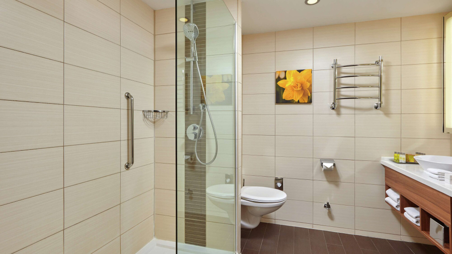 Bathroom 4, Hilton Garden Inn Kaluga, Kaluga gorsovet