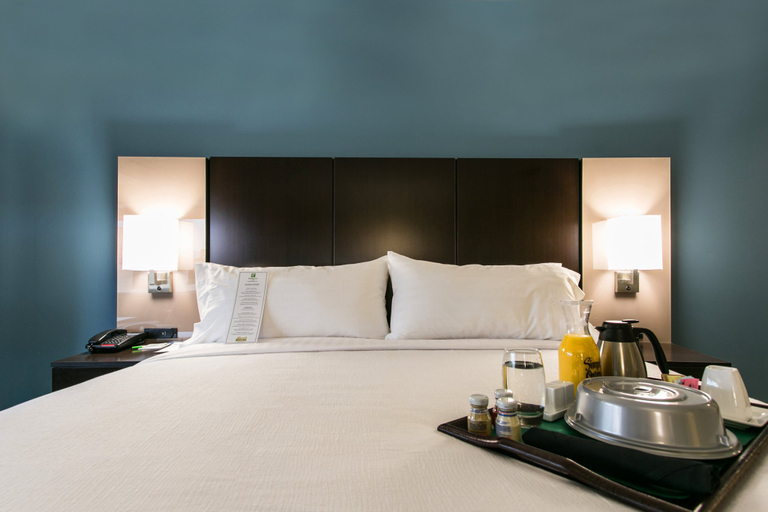 Bedroom 4, Holiday Inn & Suites CHATTANOOGA DOWNTOWN by IHG, Hamilton