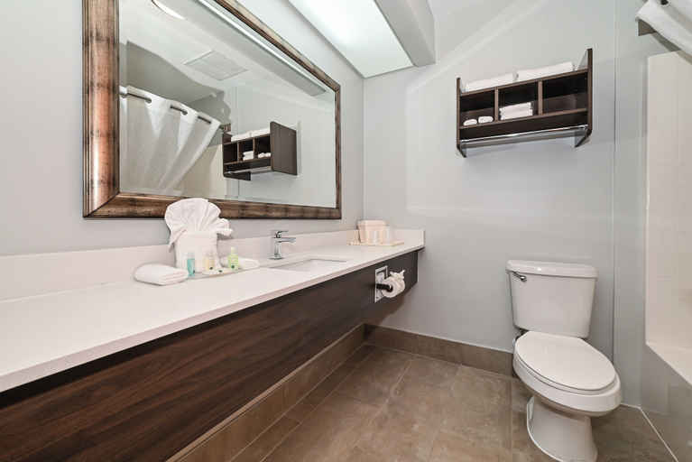 Bathroom 4, Quality Inn & Suites Matthews - Charlotte, Union