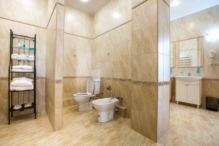 Bathroom 3, Dolphin Resort & Conference Center, Sochi gorsovet