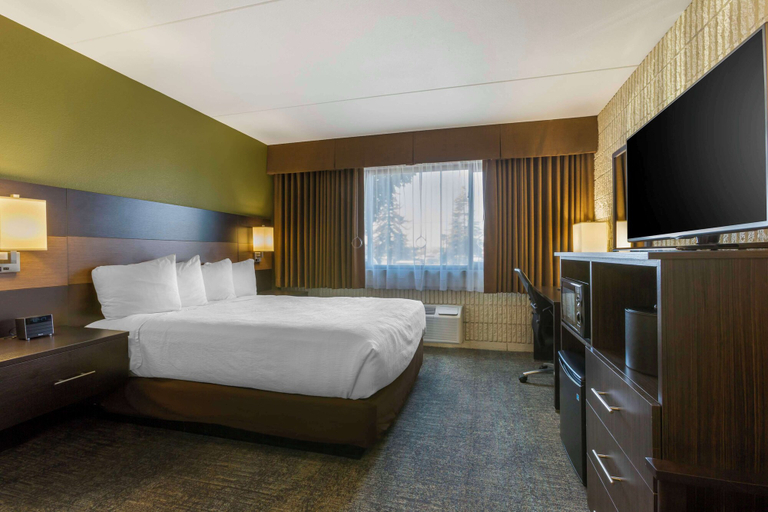 Bedroom 3, Best Western Plus University Inn, Latah