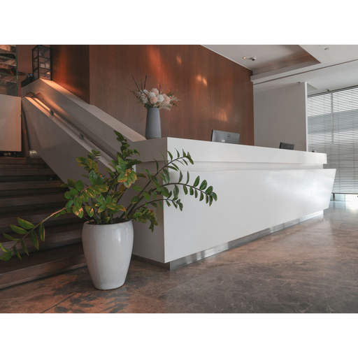 Public Area, Amrise Hotel Kitchener, Singapore