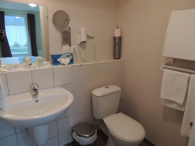 Bathroom 4, Hotel Restaurant De La Dore, Puy-de-Dôme