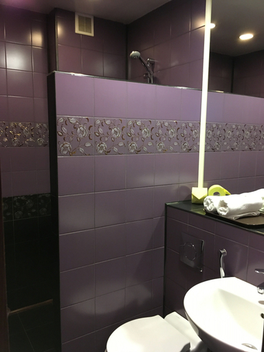 Bathroom 3, Malinki Hotel, Mytishchinskiy rayon