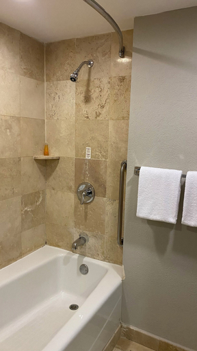 Bathroom 2, ALTAVISTA, Reynosa