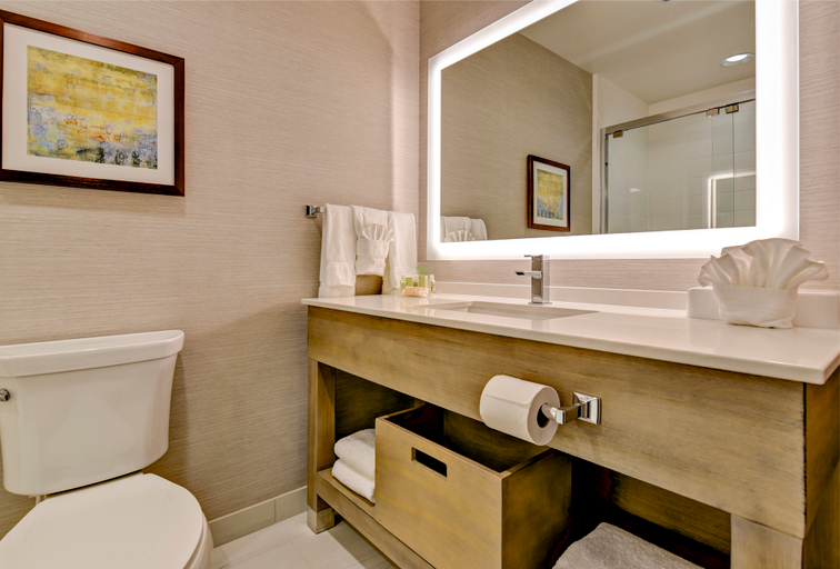 Bathroom 4, Holiday Inn NAMPA by IHG, Canyon