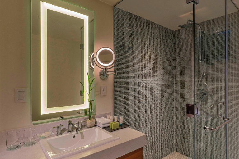 Bathroom 5, The Westin Cozumel, Cozumel
