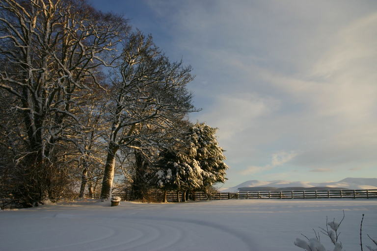 Others 4, Cormiston Farm, South Lanarkshire